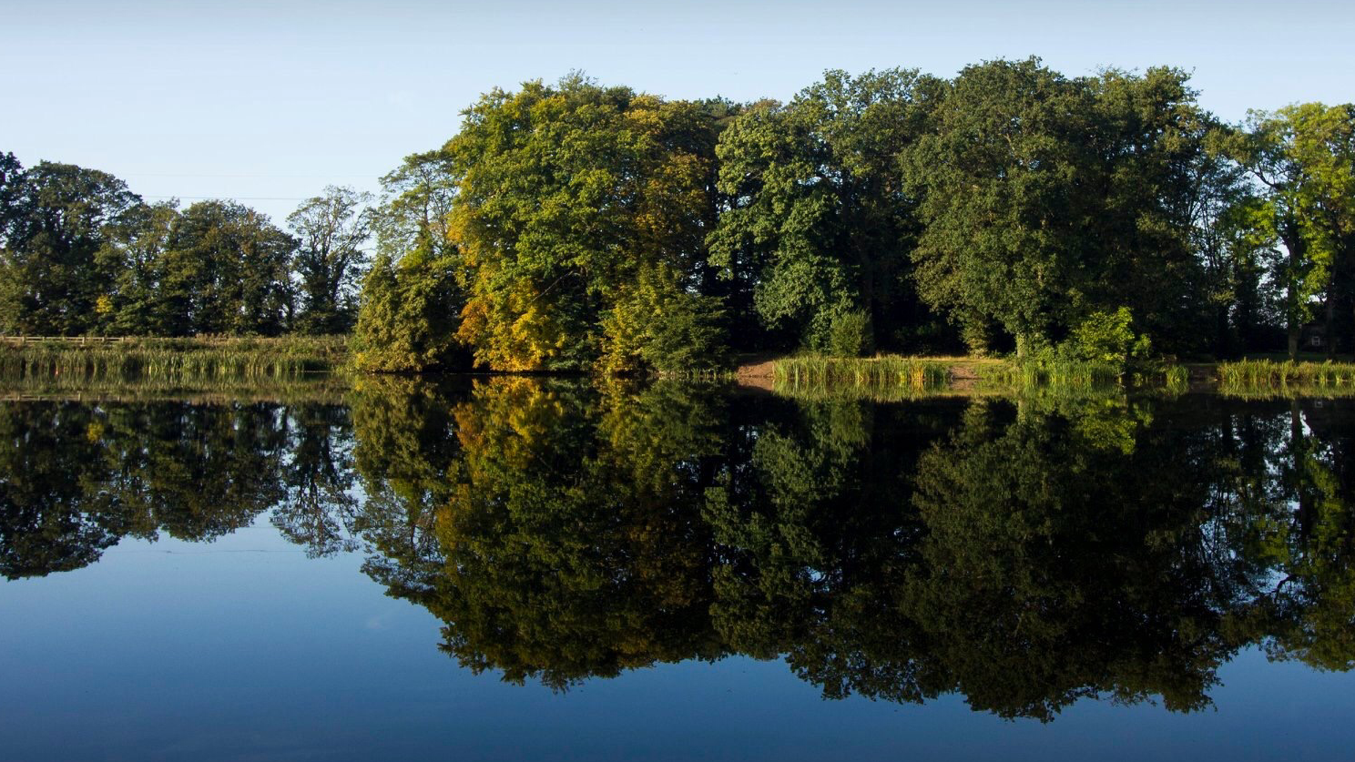 Patshull Park Fishery - Image 1