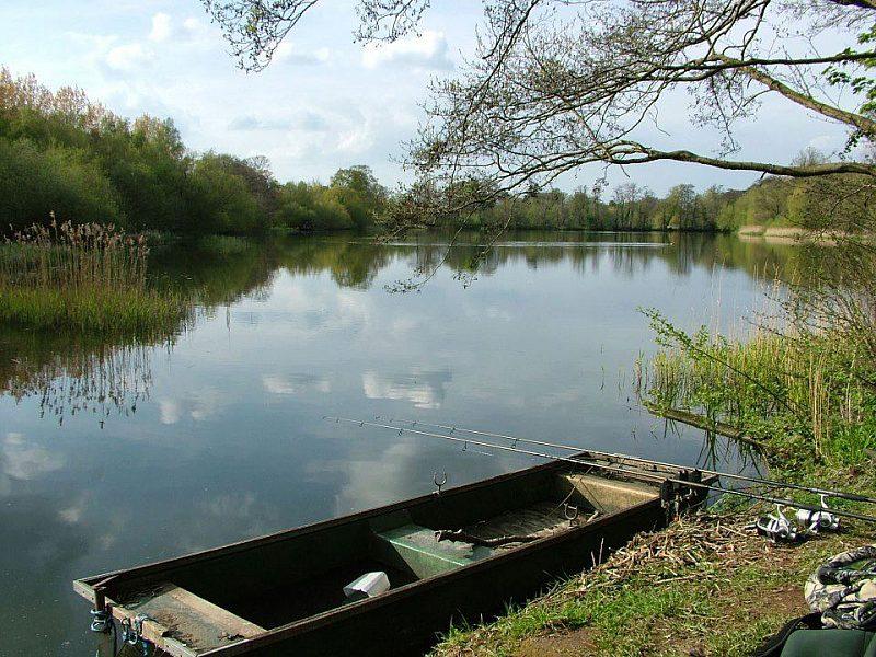 Patshull Park Fishery - Image 2