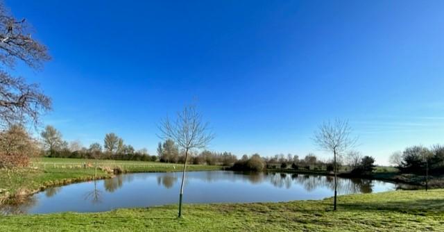 Sundorne Castle Fishery - Image 2