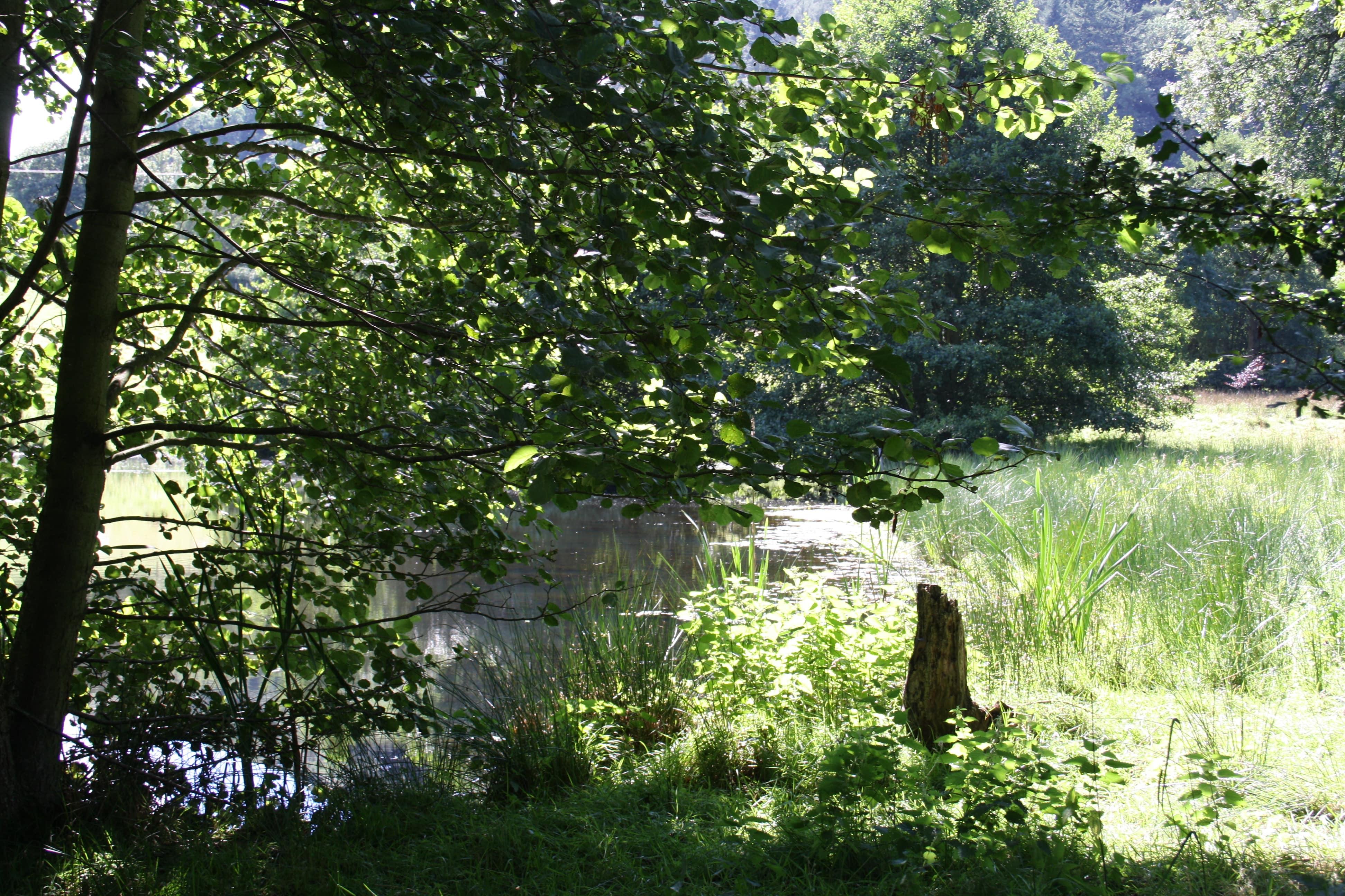 Earlsdale Retreat - Image 1