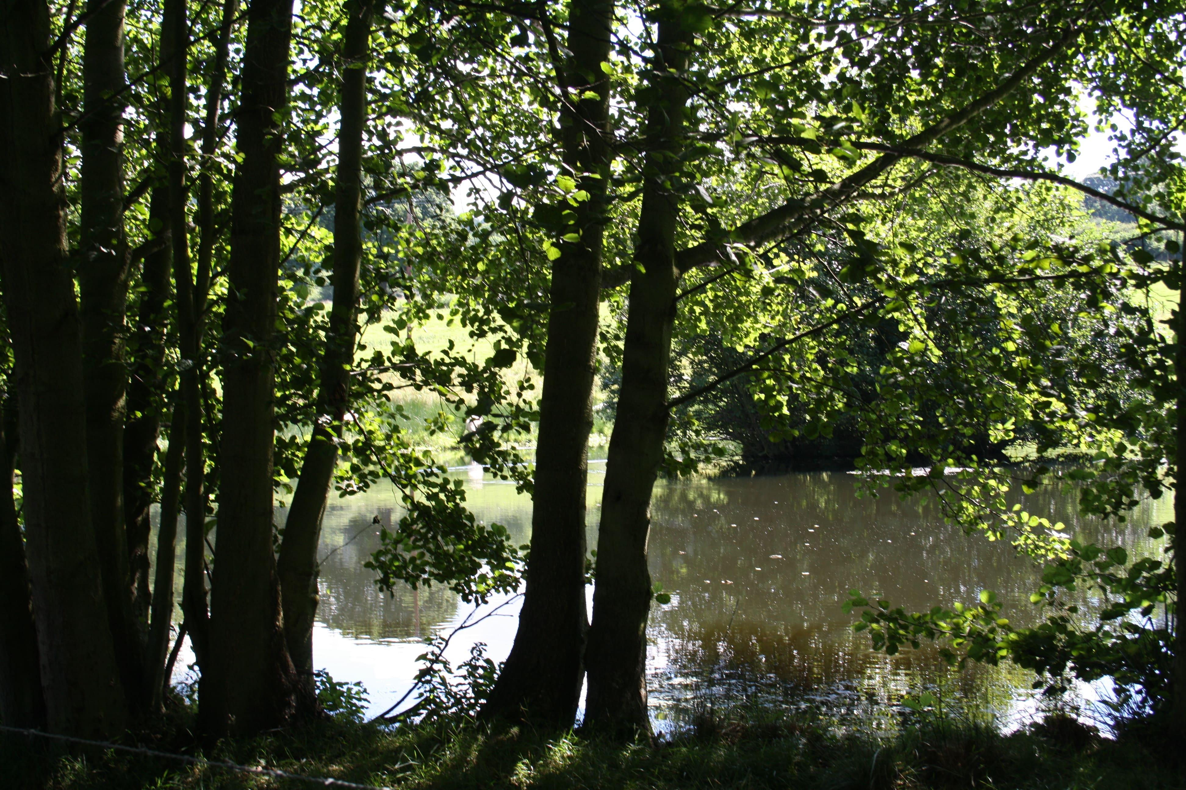 Earlsdale Retreat - Image 8