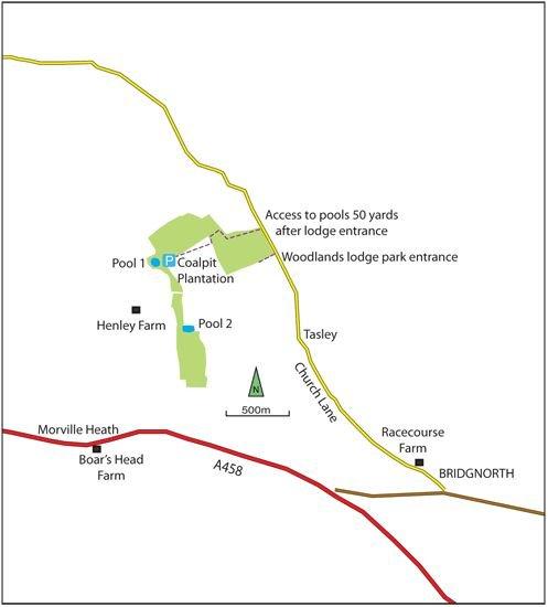Woodland Park - Image 1