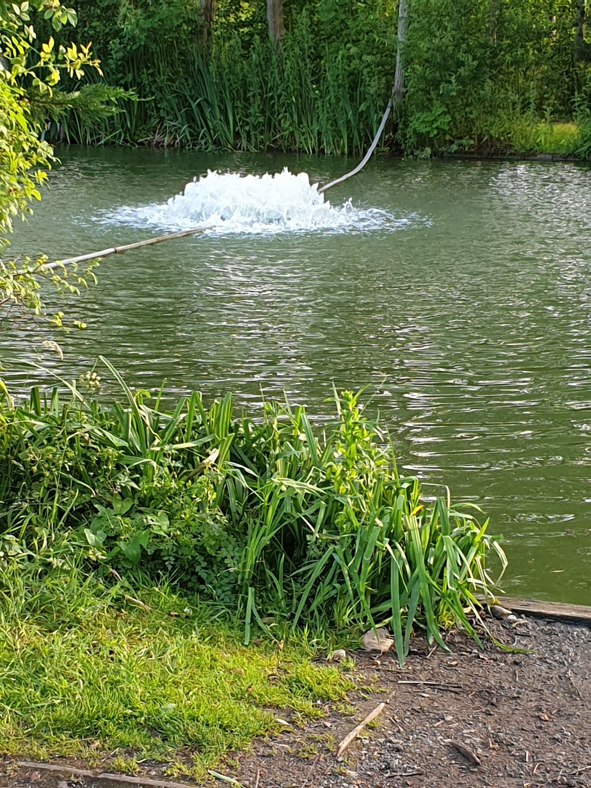 Weston Tackle & Bait, Weston Pools, Weston Village Clubhouse - Image 2
