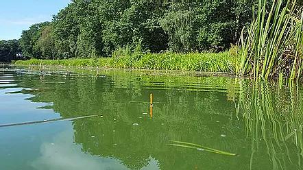 Colehurst Lake - Image 1