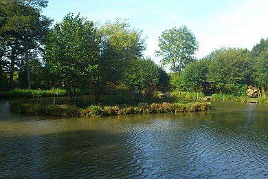 Manor Pool - Image 1