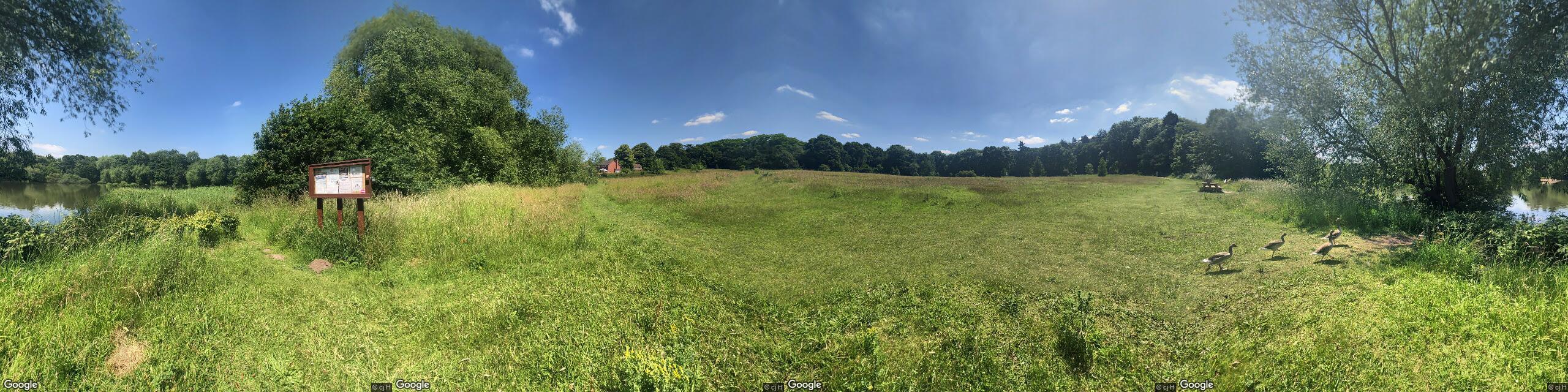 Main view of null