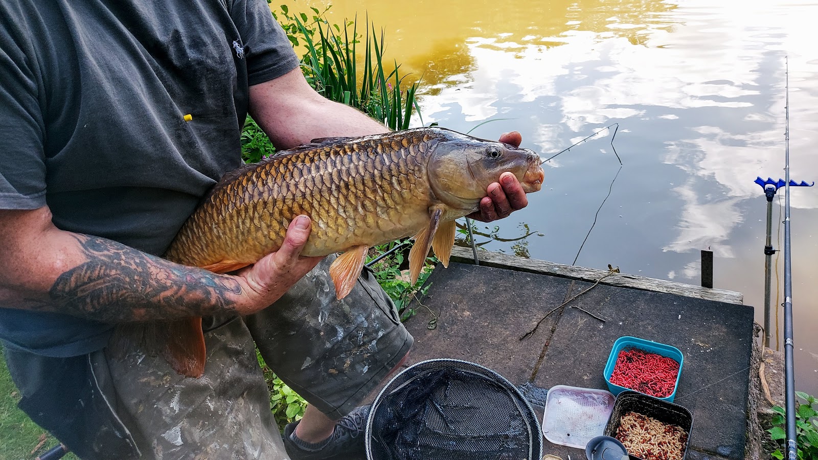 Poole Hall Fisheries - Image 1