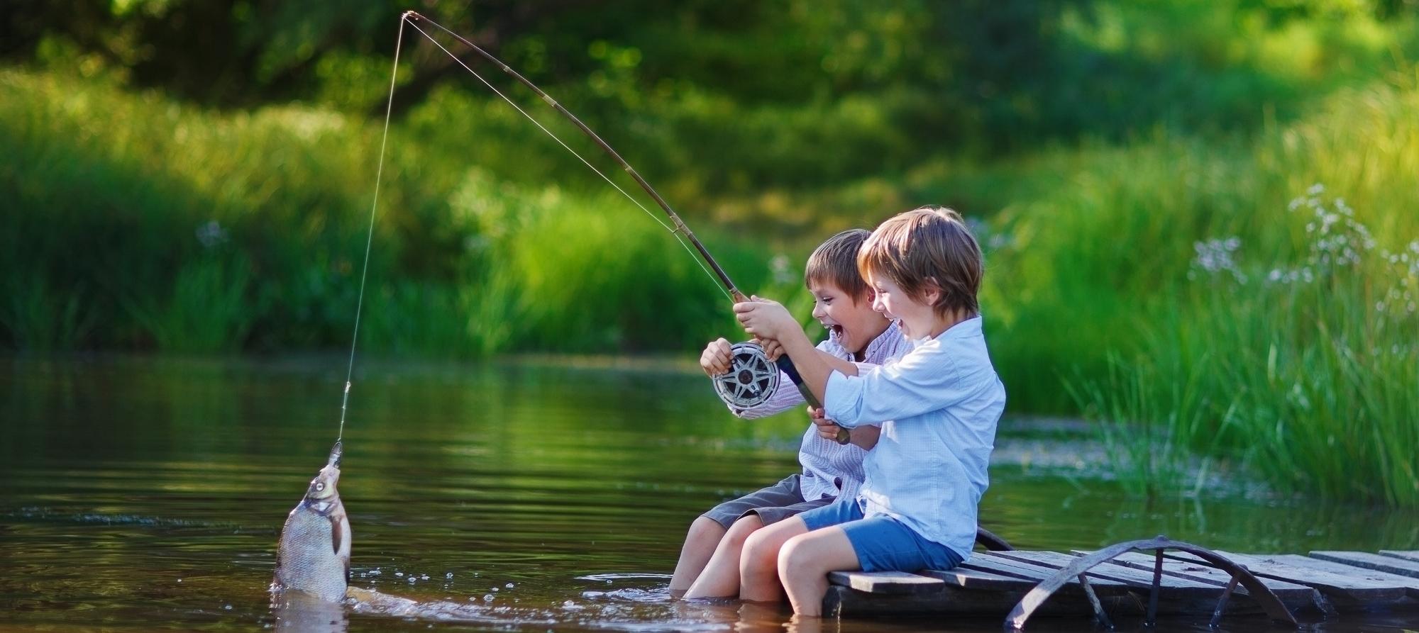 Spring Heath Log Cabins & Fishery - Image 3