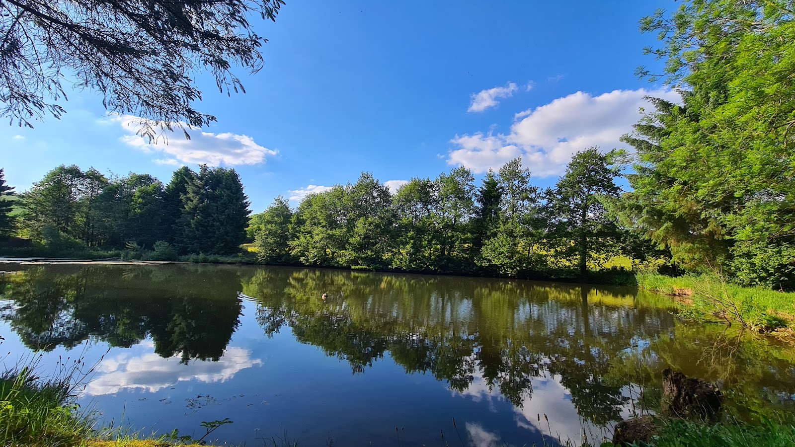 Bromdon Fishing Pools - Image 1