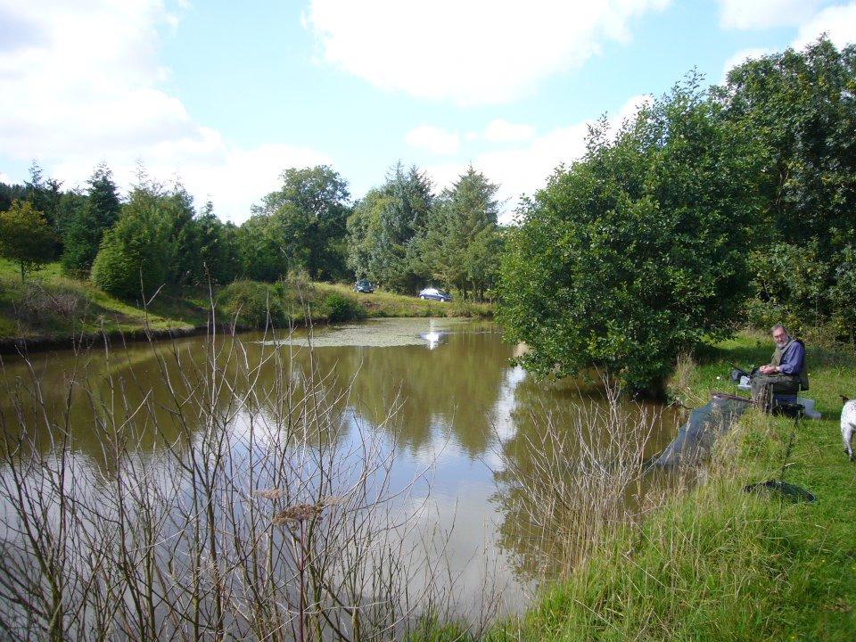 Bromdon Fishing Pools - Image 2