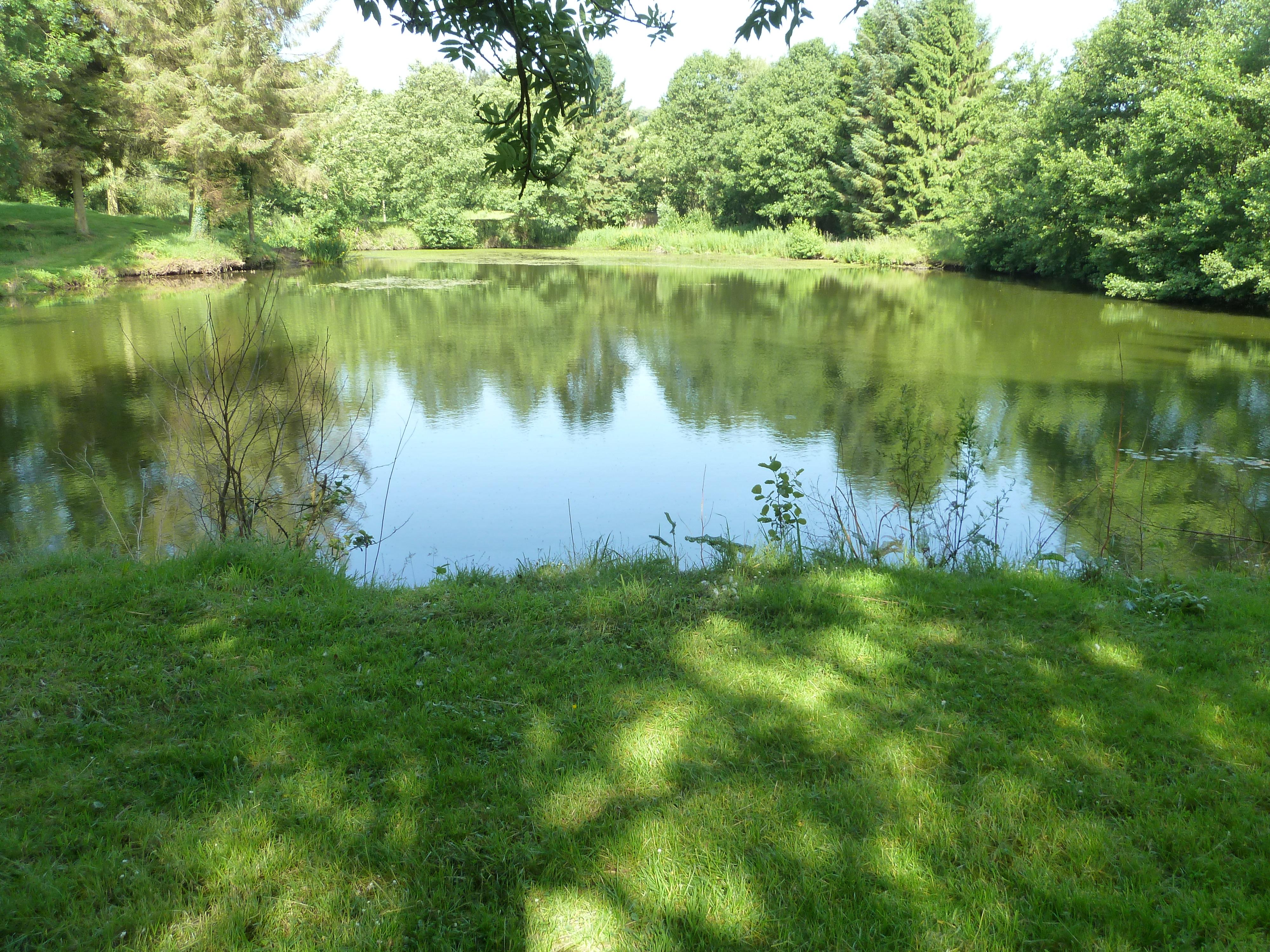 Bromdon Fishing Pools - Image 3