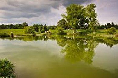 LoyntonTrout Fishery - Image 1