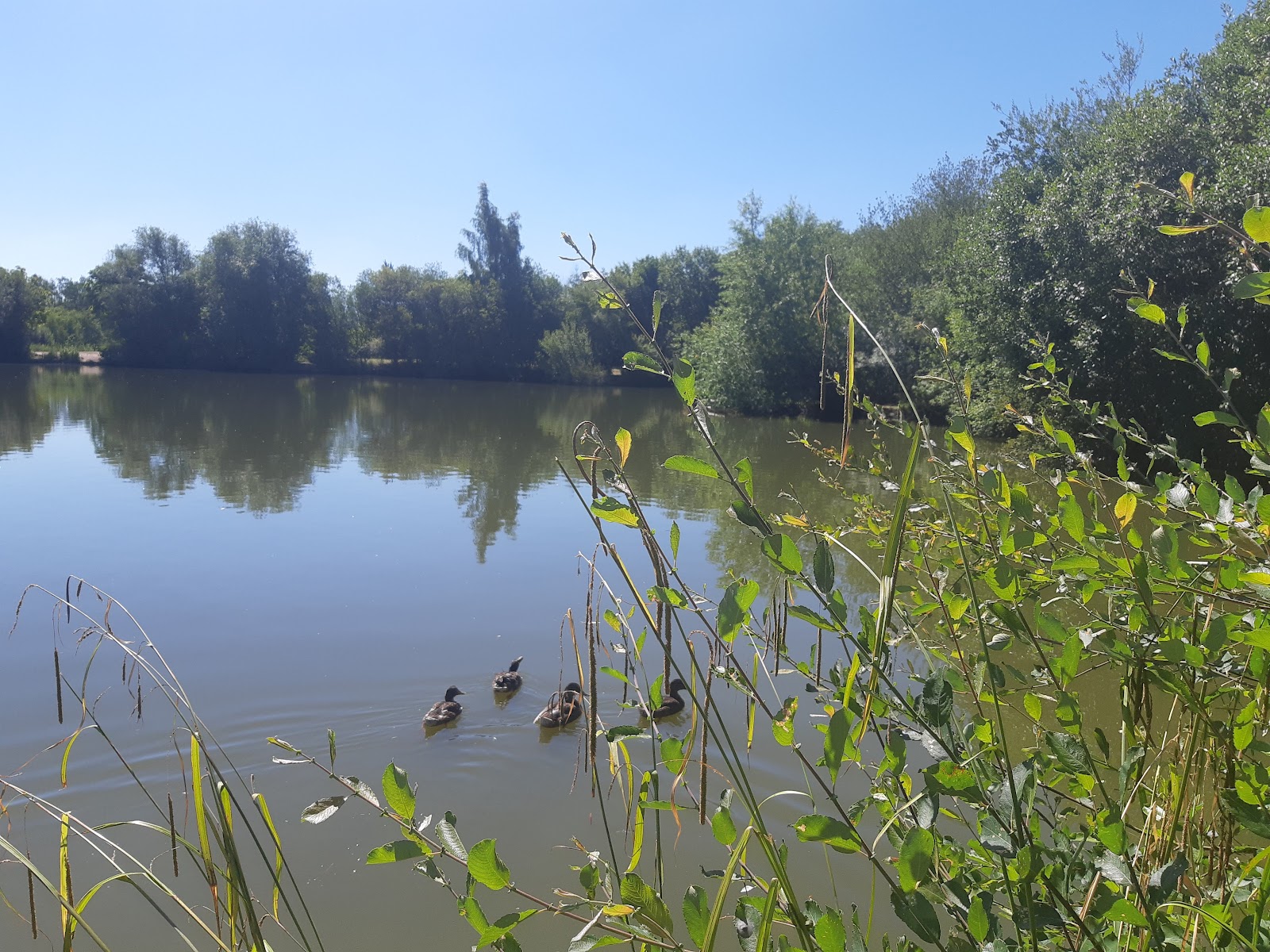 Midland Game Fisheries - Image 1