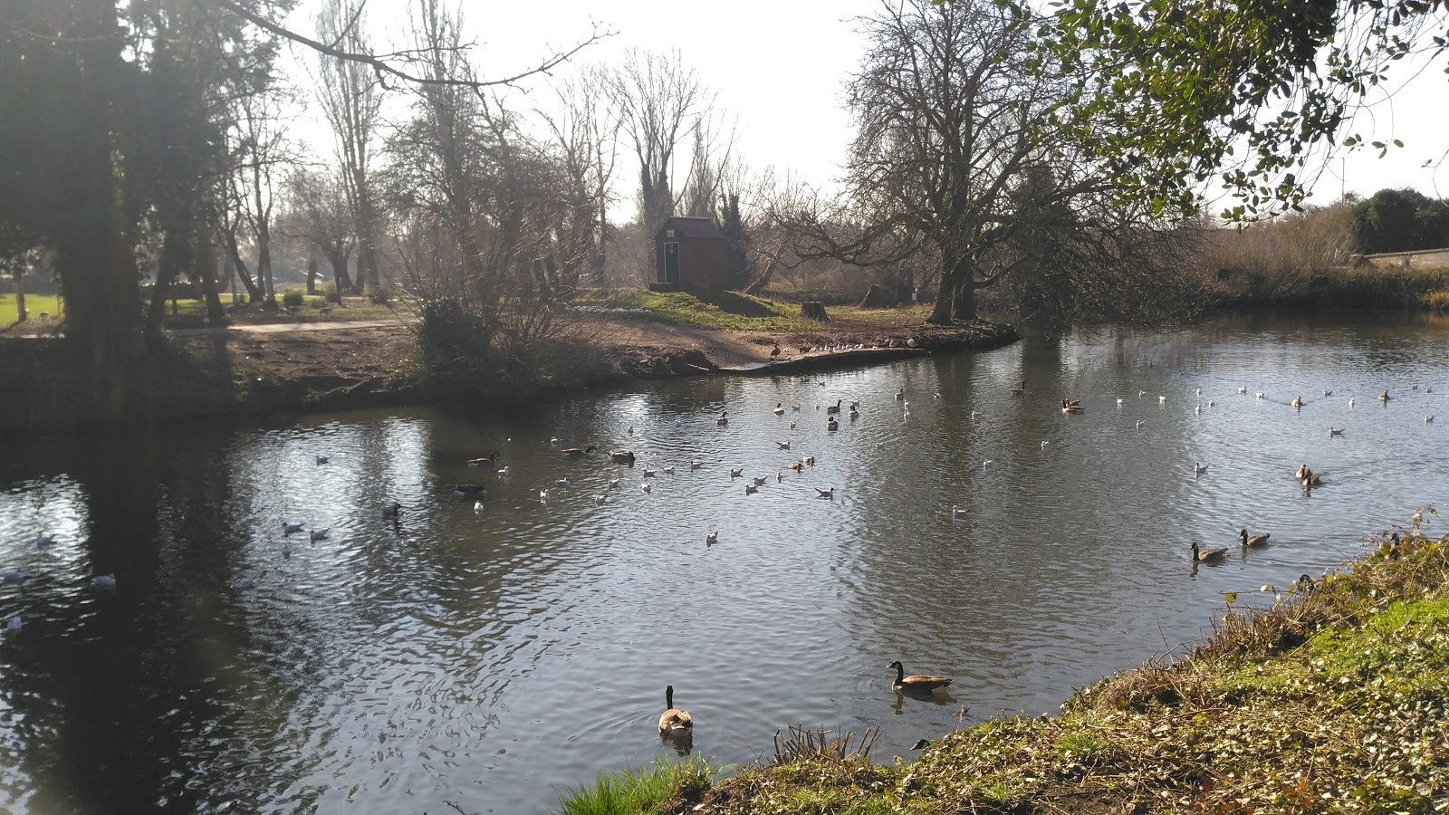 Bott's Pond Fishery - Image 1