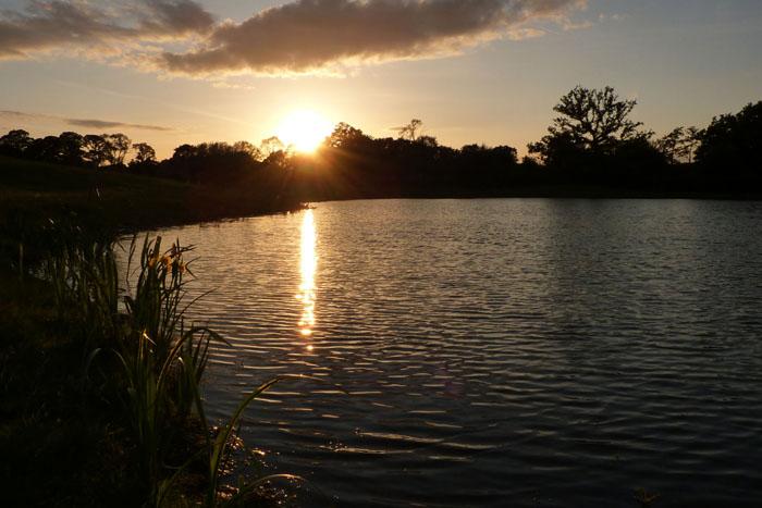 Coppice Lane Fishery - Image 4