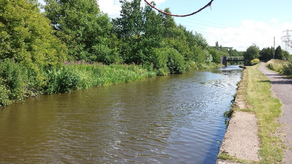 Trent & Mersey Canal - Image 1