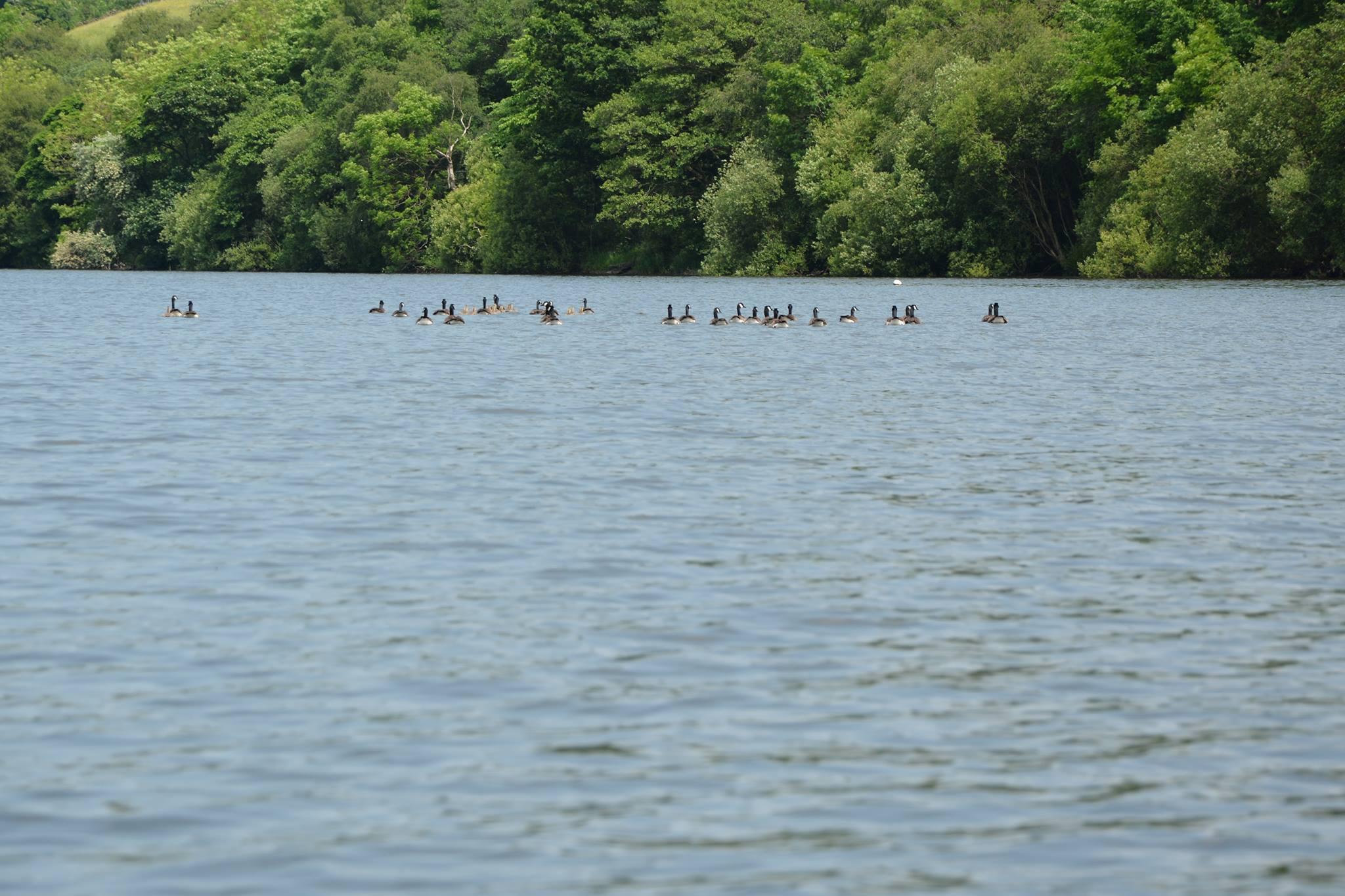 Rudyard Reservoir - Image 2