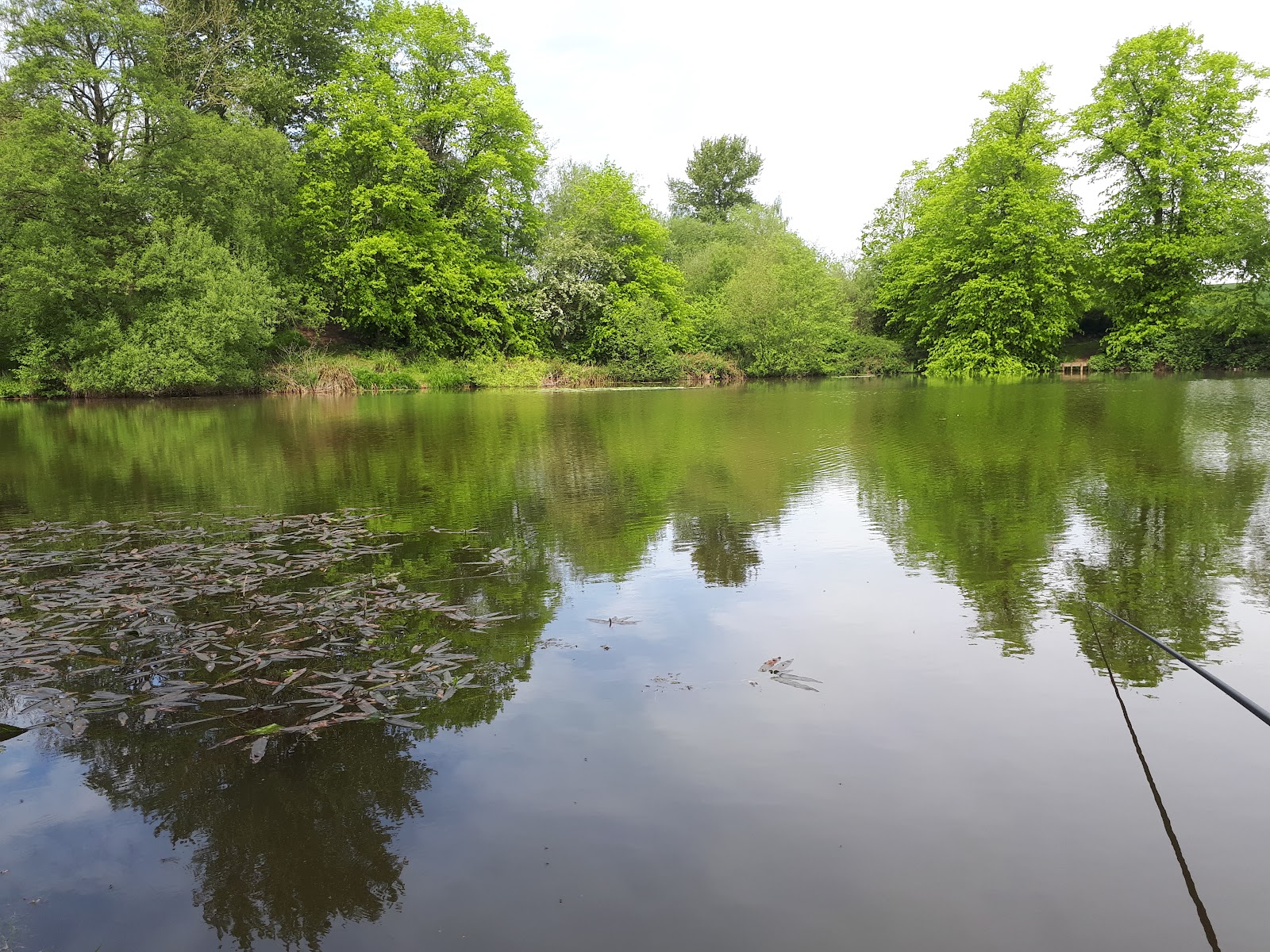 Hanchurch Fishing Club - Image 1