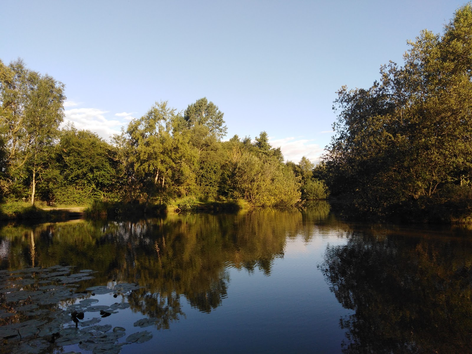 Dilhorne Pools - Image 1
