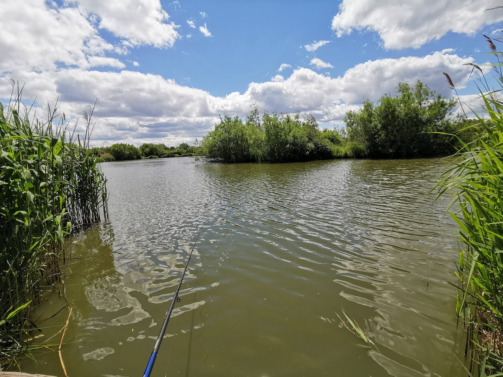 Angel of the North Fishing Lakes - Image 1