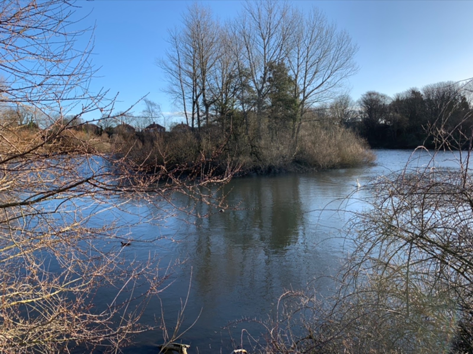 Marden Quarry Park - Image 1