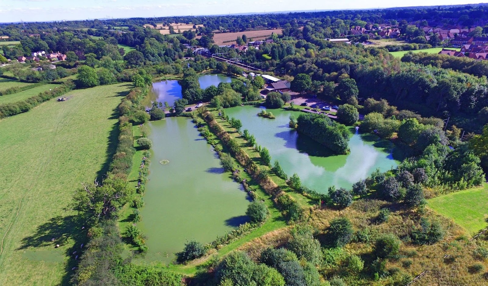 Lavender Hall Fishery - Image 2
