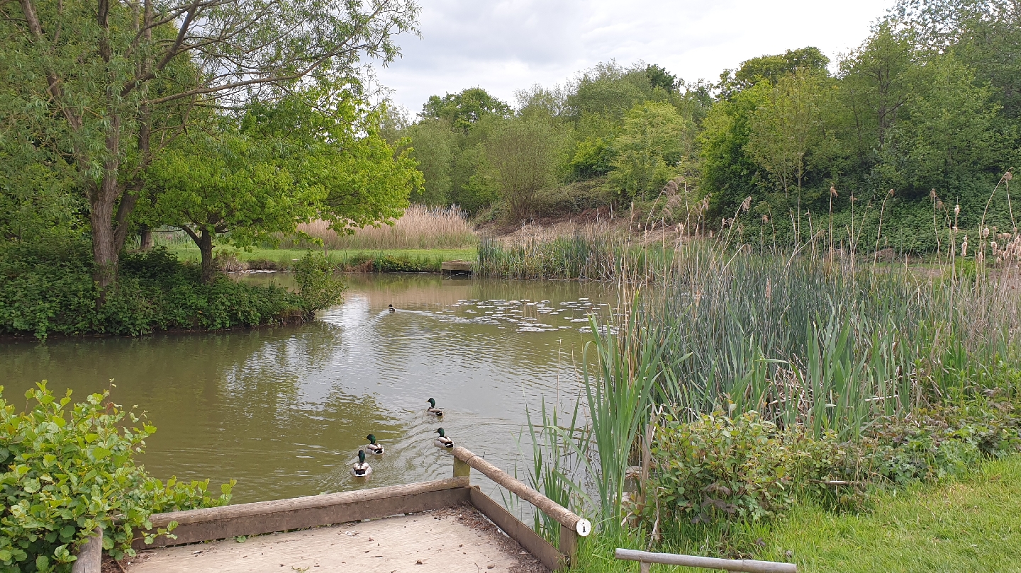 Wassell Grove Fisheries and Campsite - Image 1