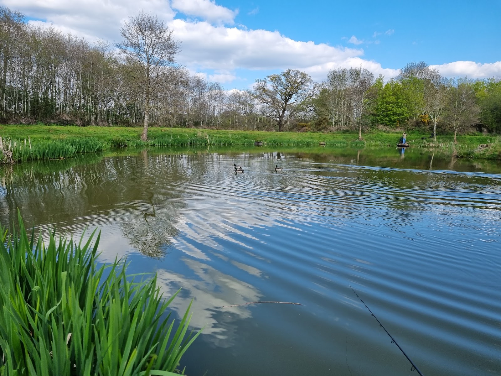 Packington - Image 1