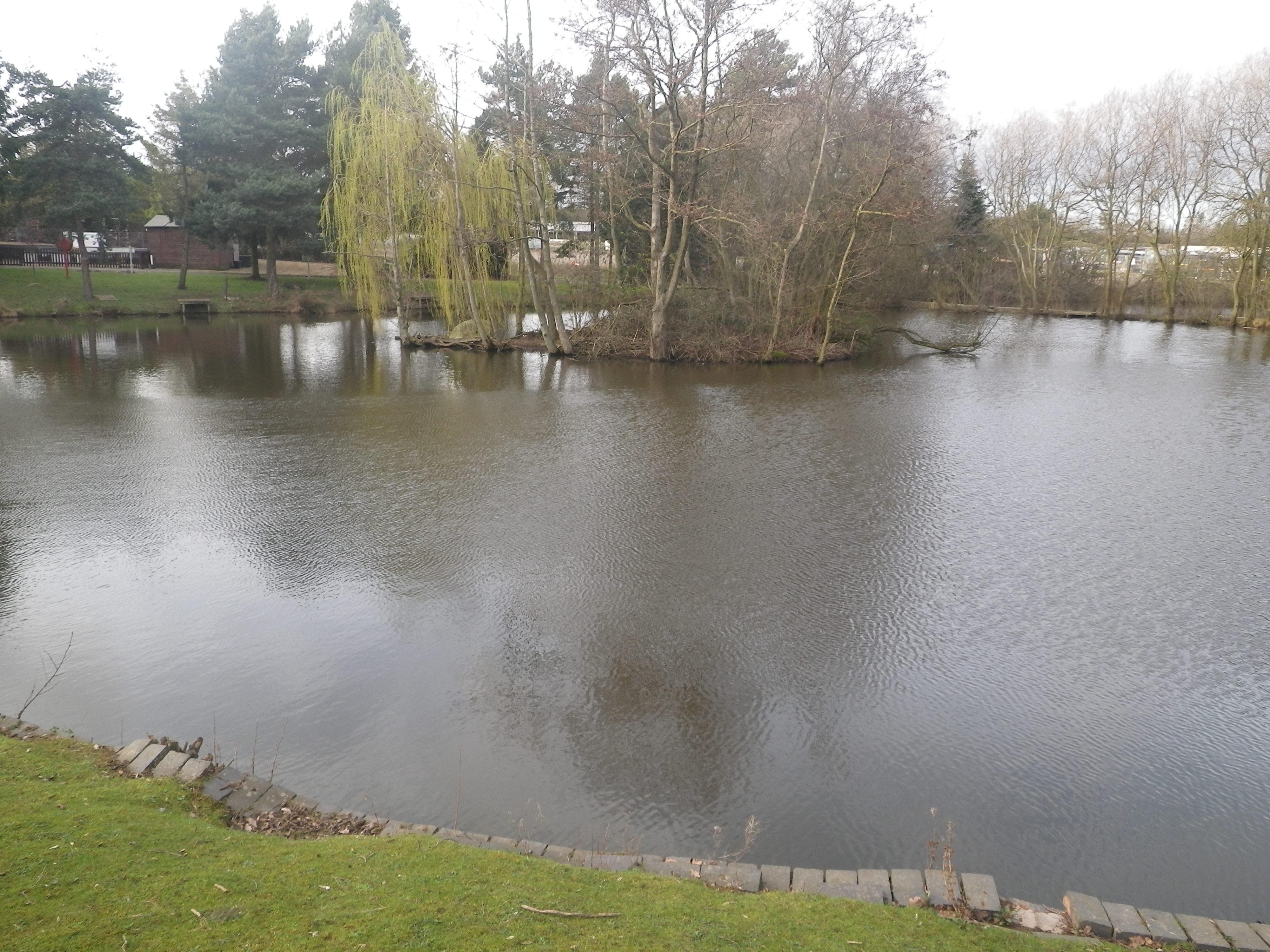 Hollybush Fisheries - Image 2