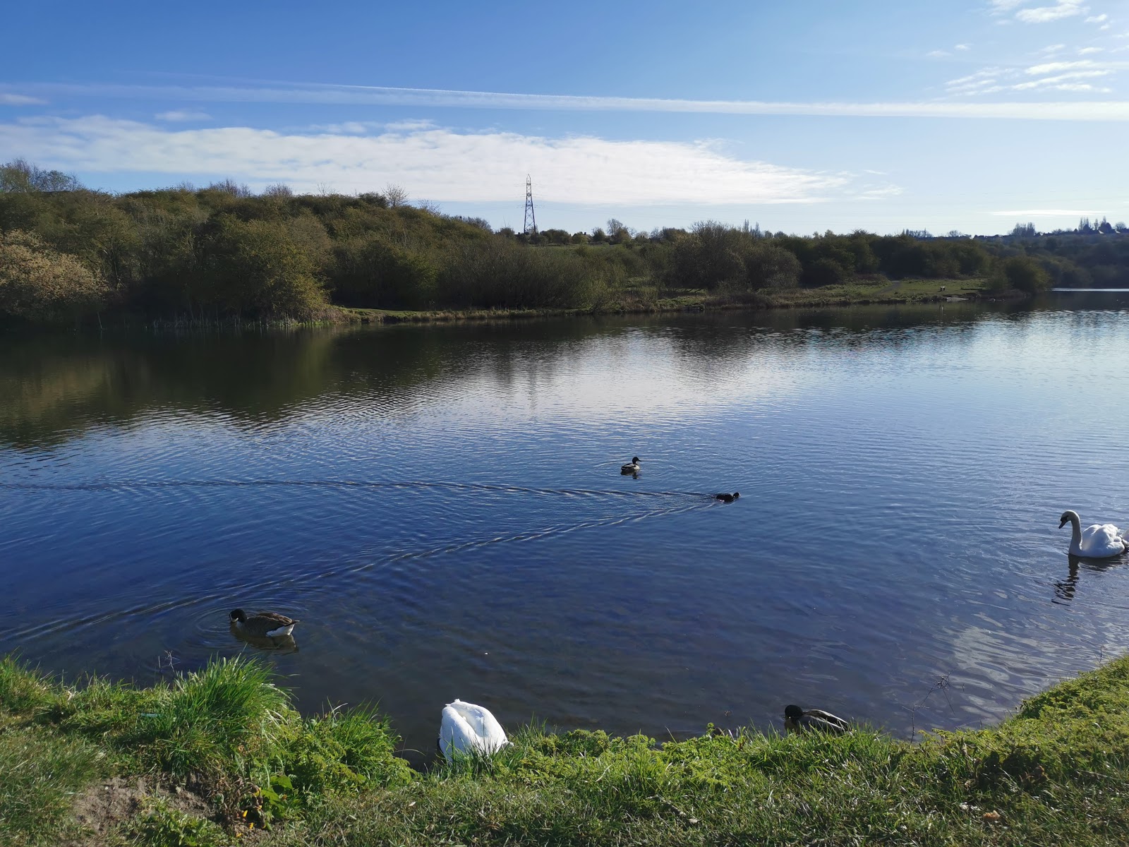 Buckpool and Fens Pool Local Nature Reserve - Image 2