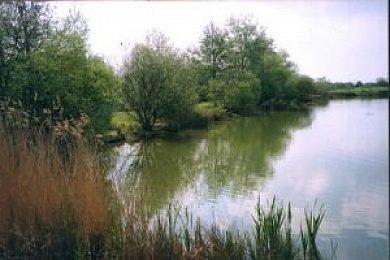 Gilmans Lake - Image 1