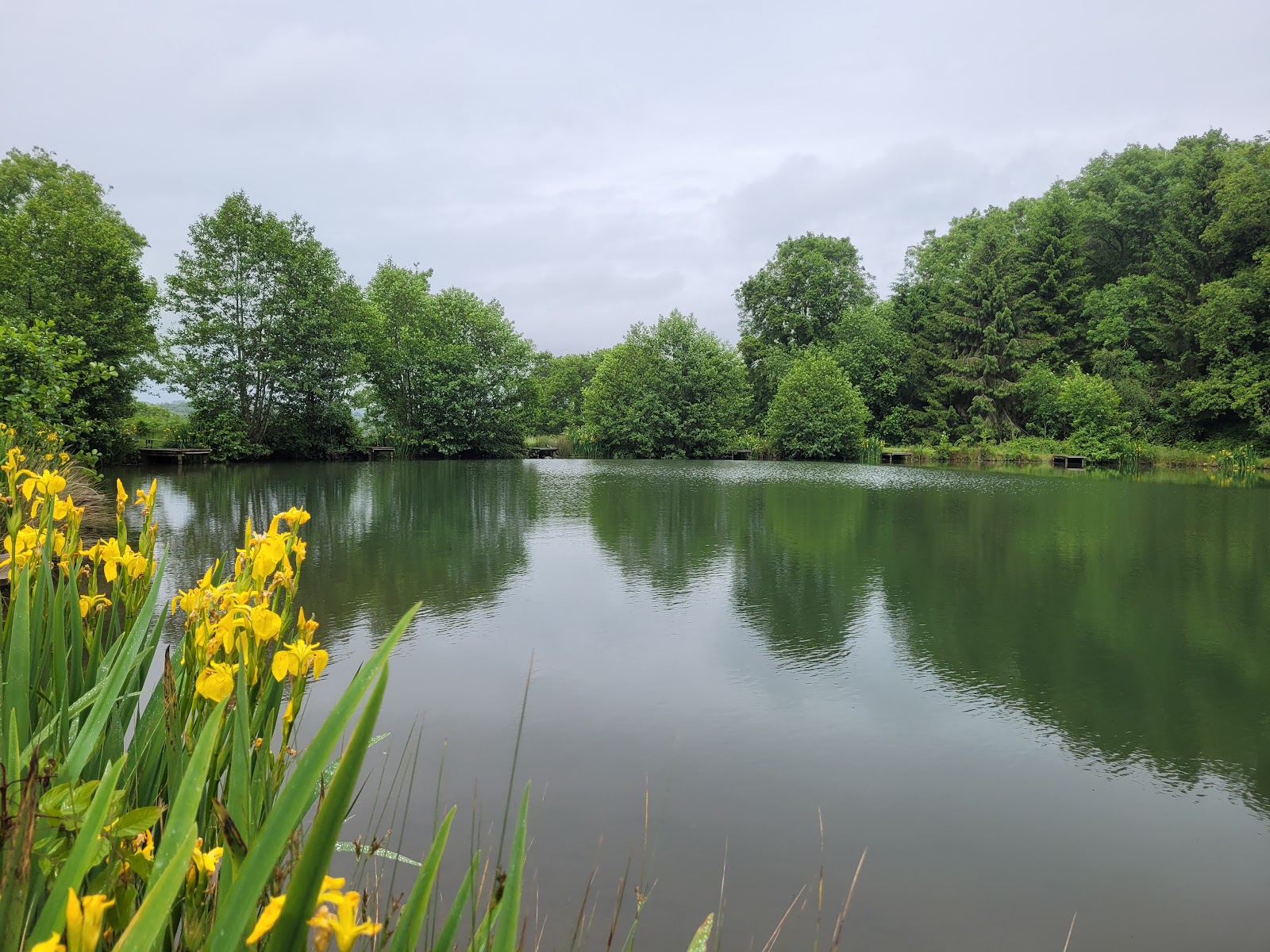 Shatterford Lakes Fishery - Image 1