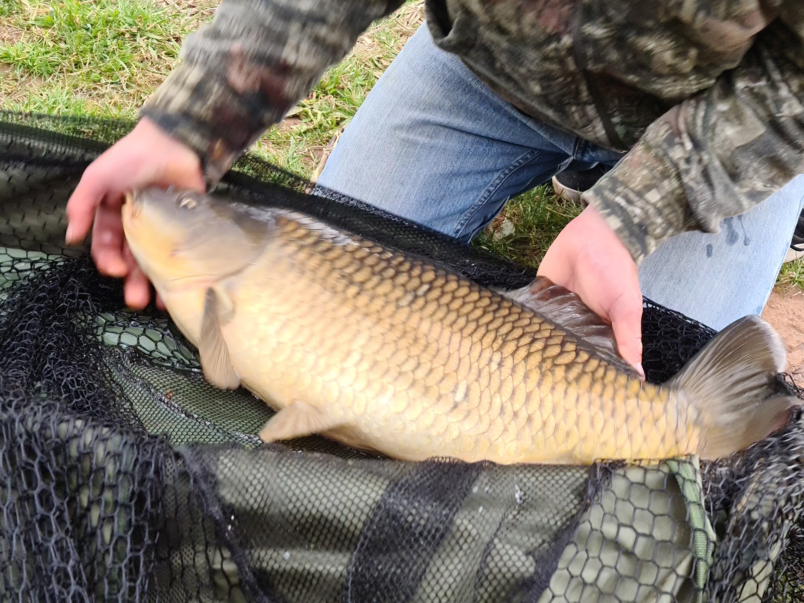 Sion Farm Fishery - Image 1