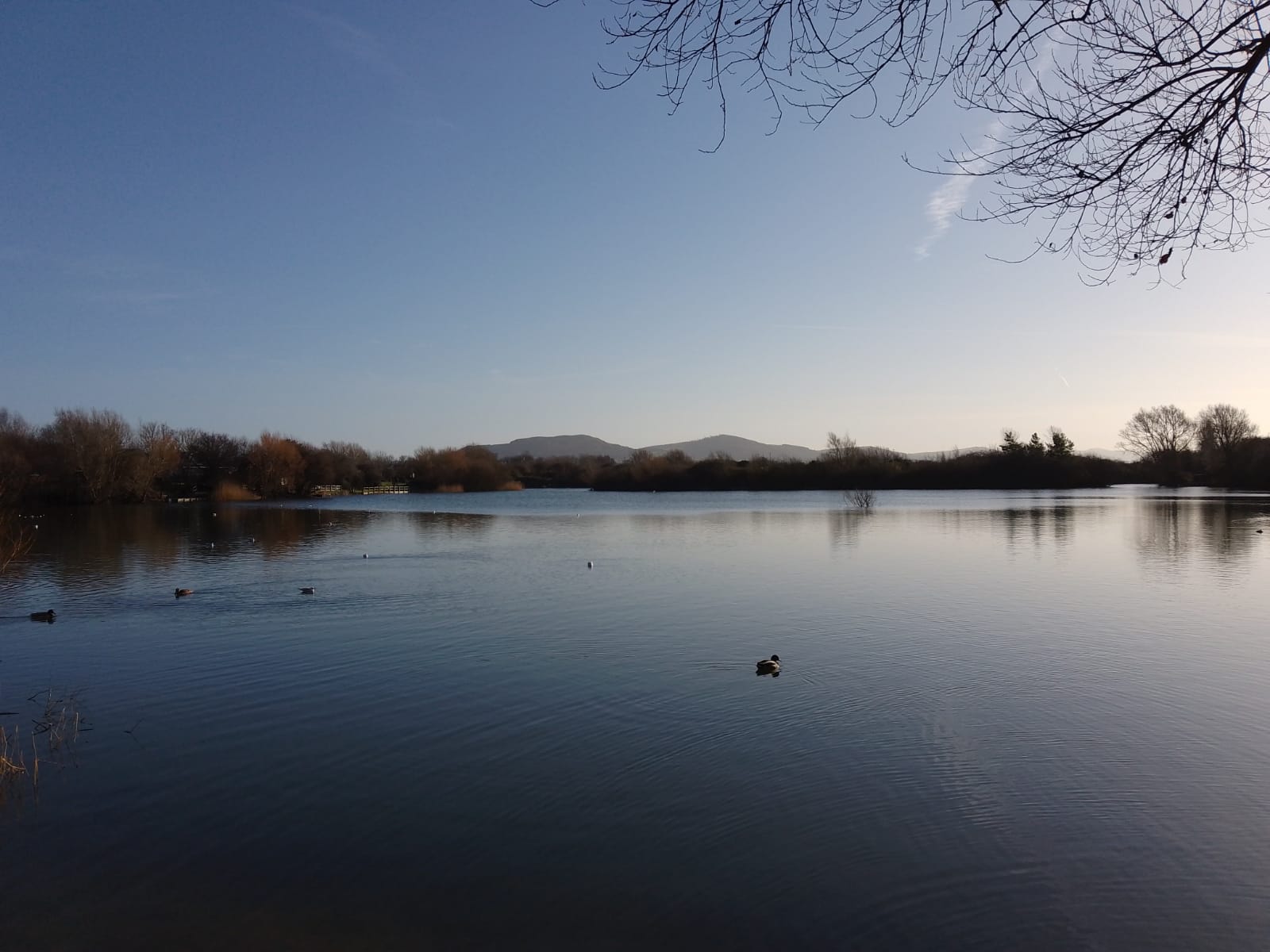 Brickfields Pond - Image 2