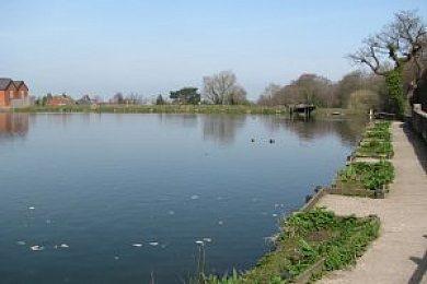 Oulton Mill - Image 1