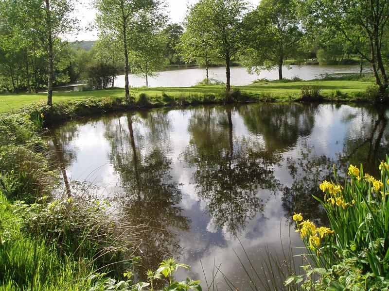Springwater Lakes - Image 3