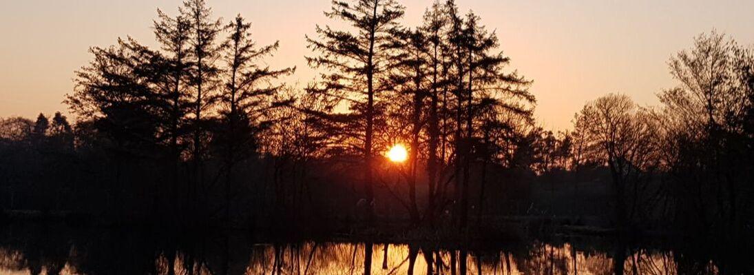 Llyn y Gors Fishery - Image 3