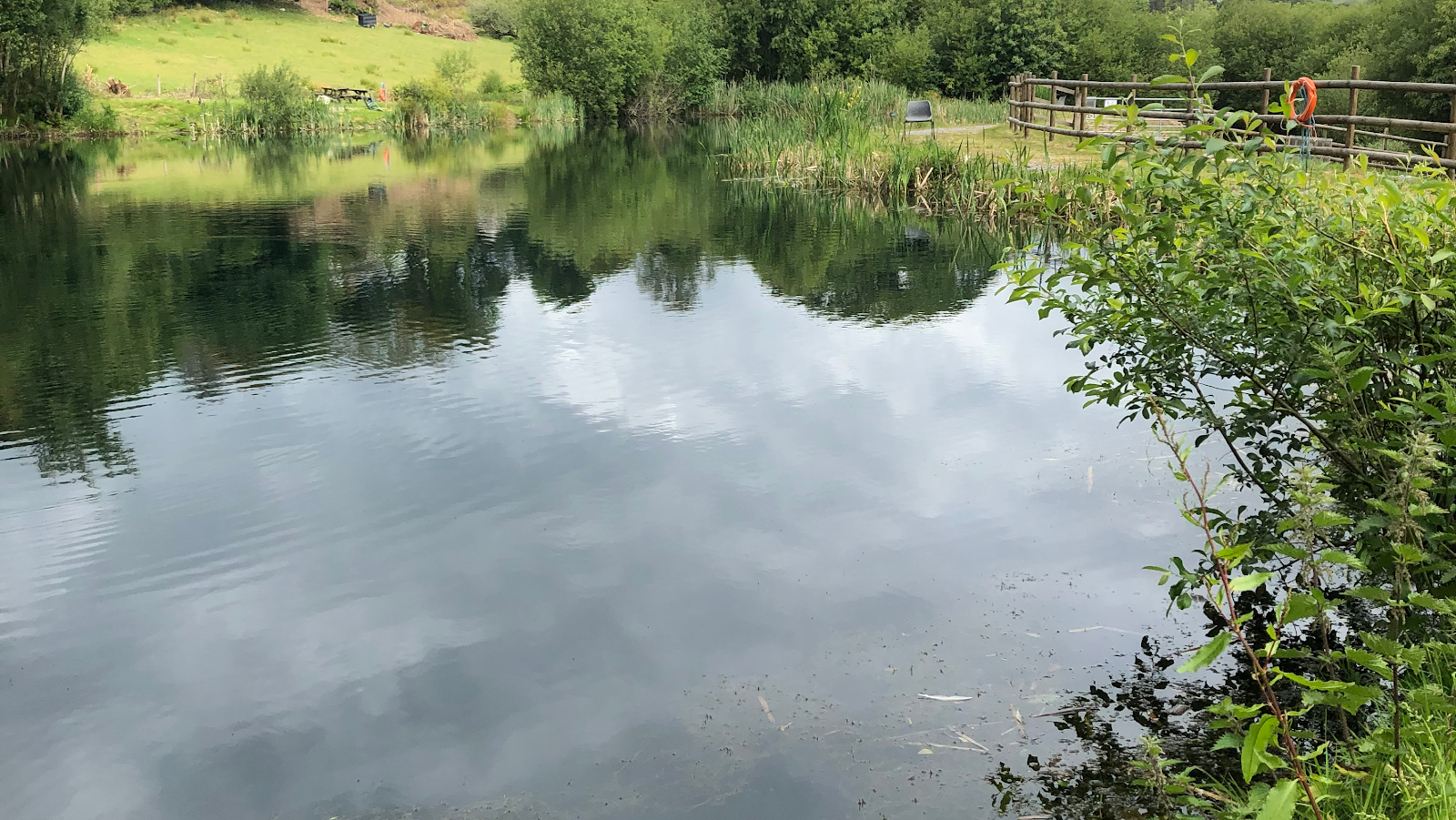 Eisteddfa Fishery & Cafe - Image 1