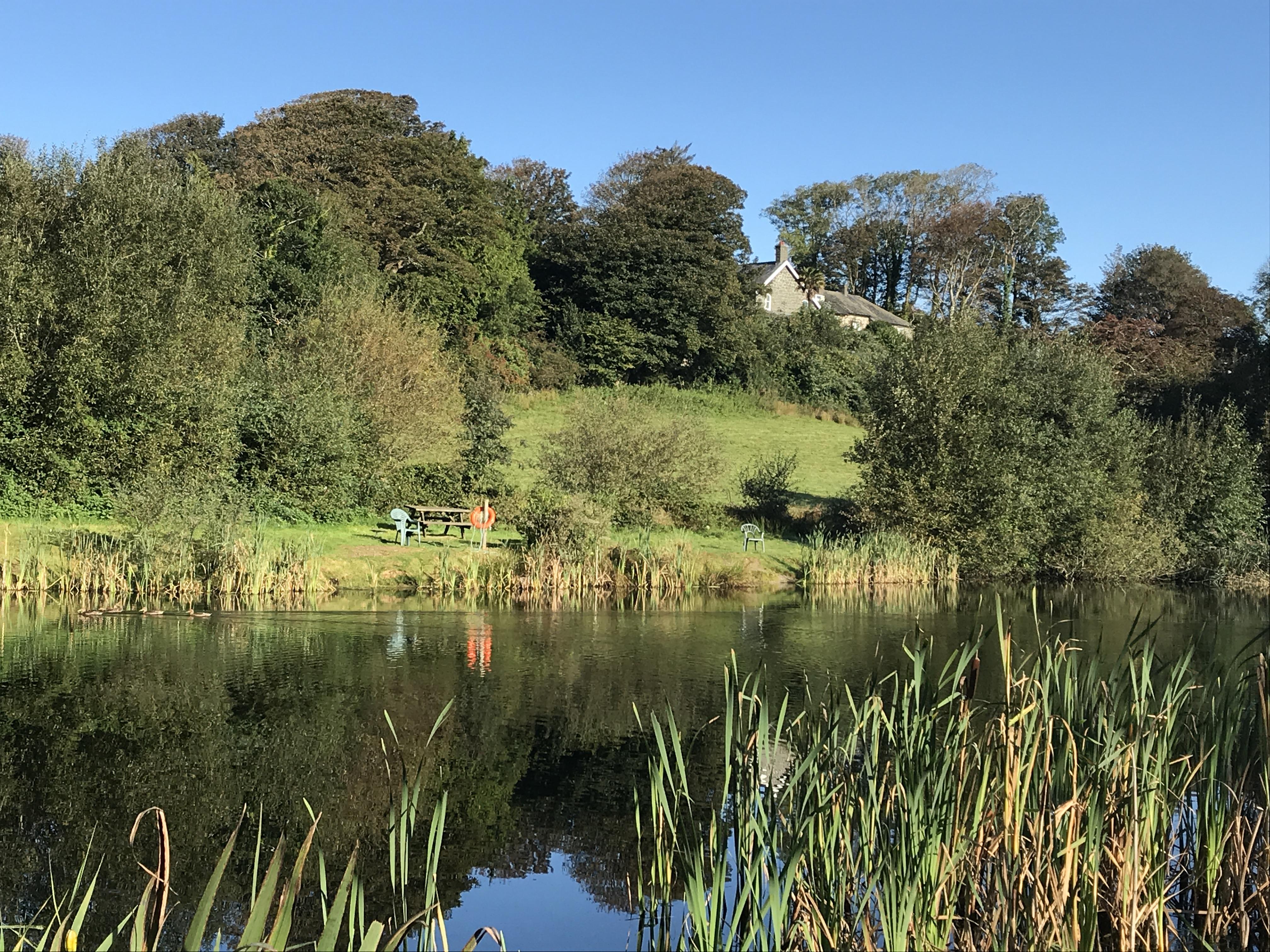 Eisteddfa Fishery & Cafe - Image 2