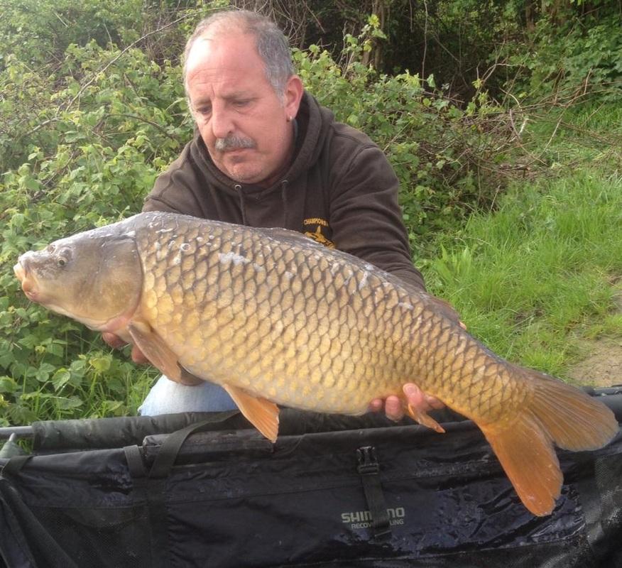 Hendre Lake - Image 2