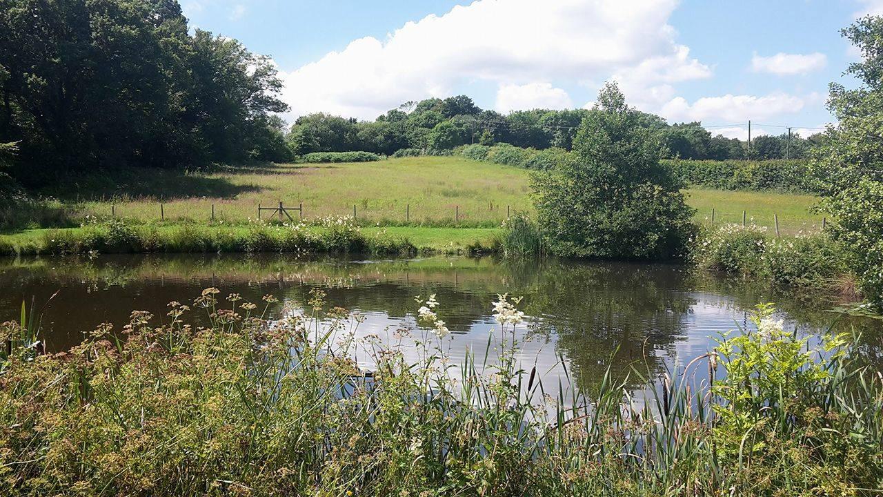Tri-nant Fishery - Image 1