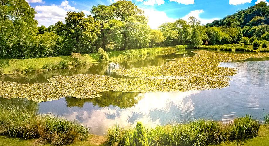 Ian Heaps Fishing Resort - Image 2
