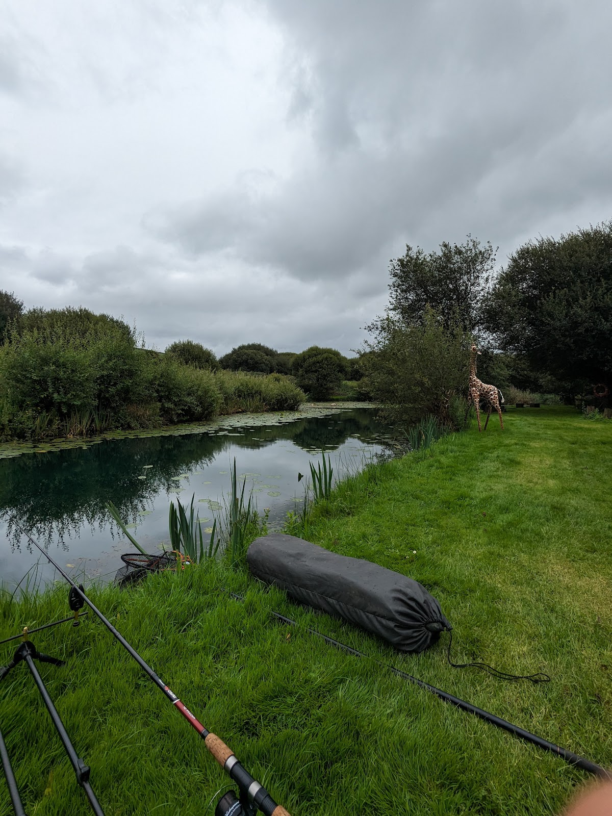 Marsh Water Ponds - Image 1