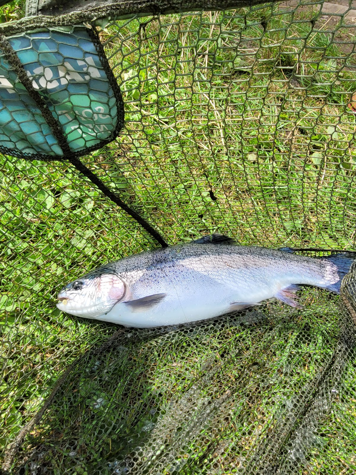 Bigwell Fly Fishery - Image 1