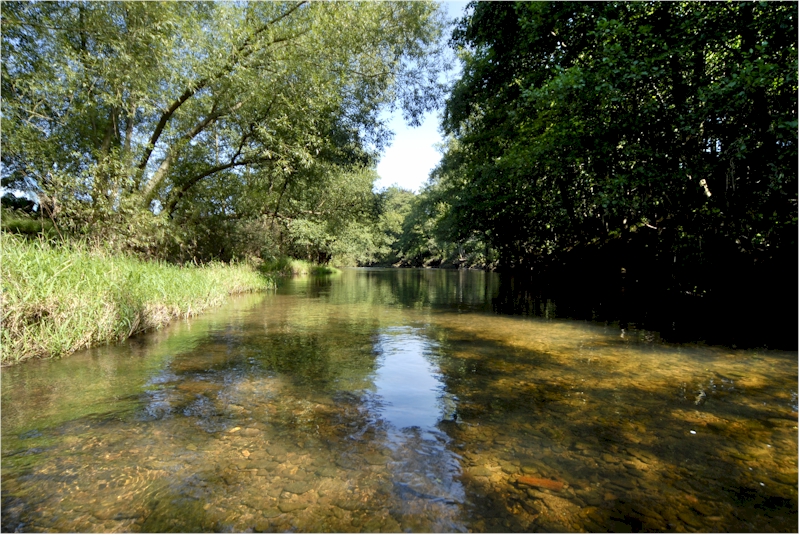 Monnow Valley Fishery - Image 3