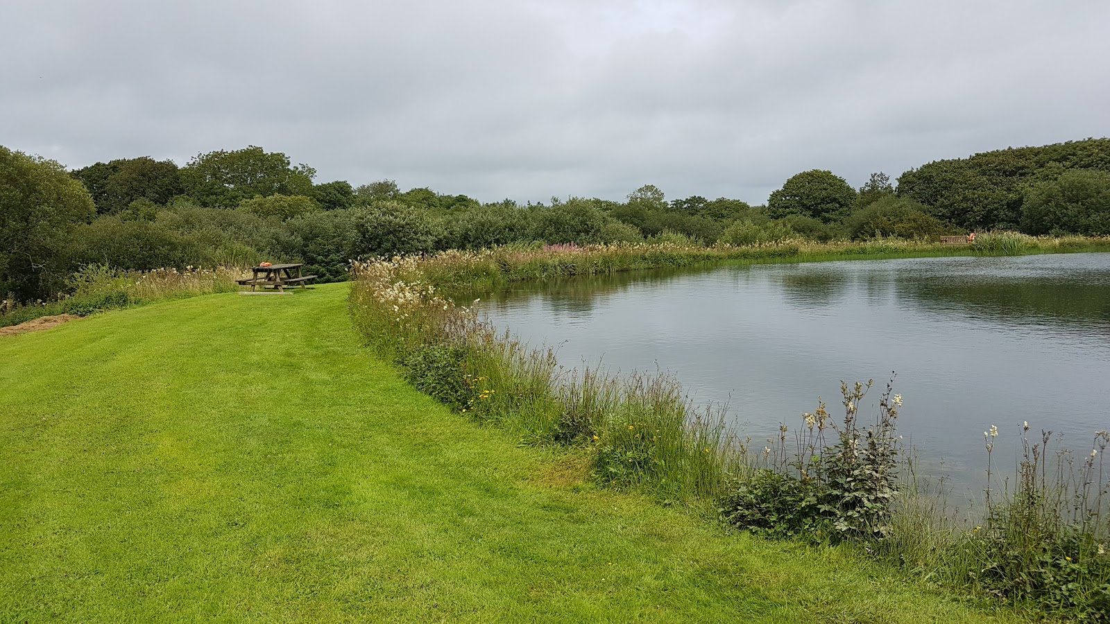 Puddleduck Trout Fishery - Image 1