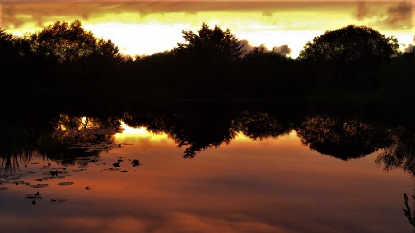 penuwch premier carp fishery - Image 1