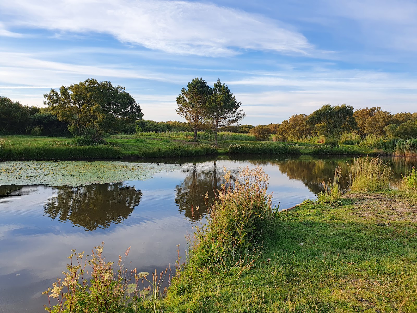 Yet-Y-Gors Campsite & Fishery - Image 1