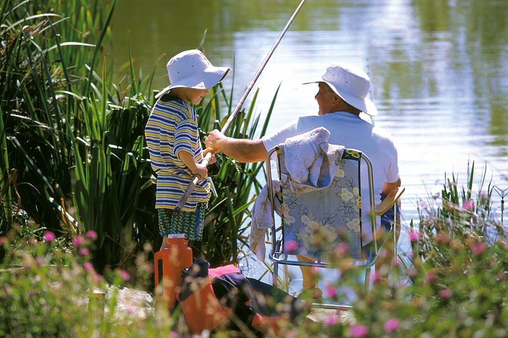 Hengar Manor Holiday Park - Image 1