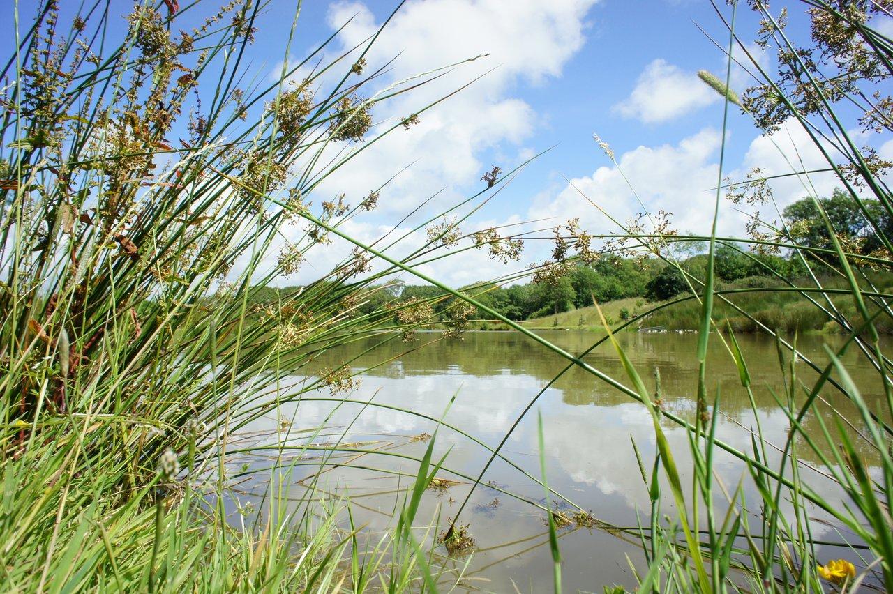 Hele Barton Farm Holiday Cottages - Image 1